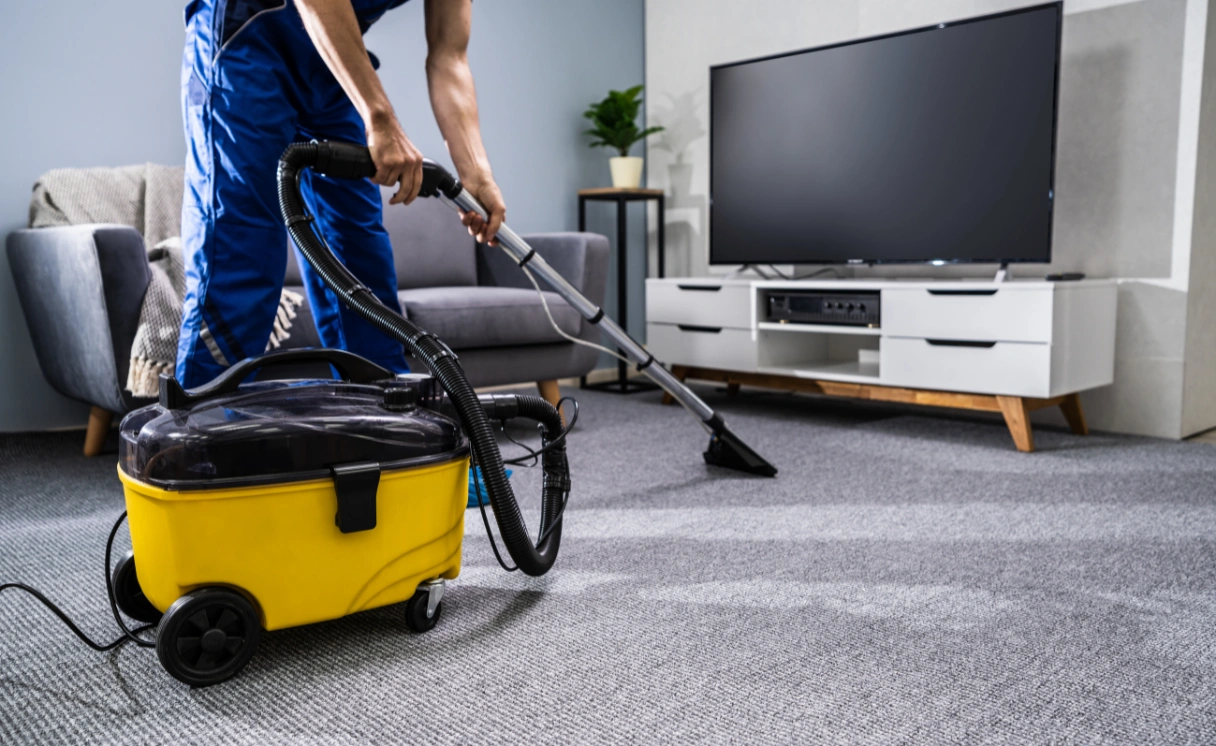 Extract Carpet Cleaning Tremont Contact Office